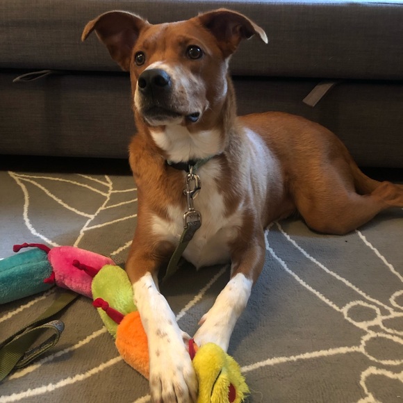 Meet your Posher, Emily - Picture 3 of 3